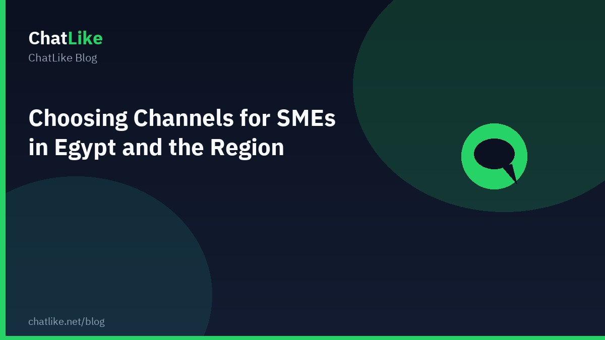 Choosing Channels for SMEs in Egypt and the Region