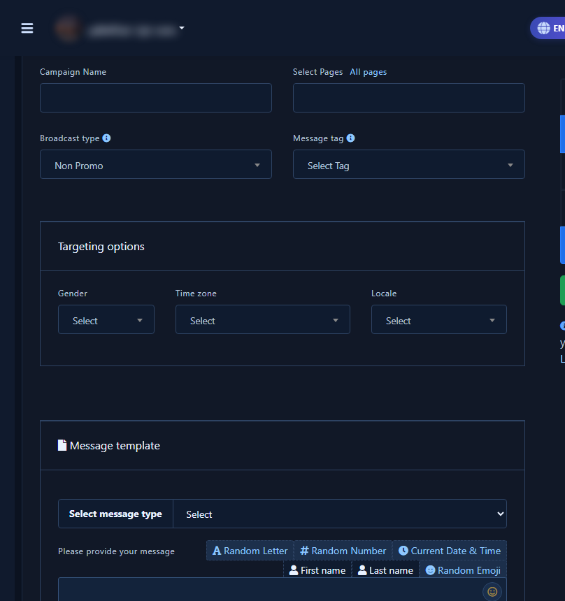 Campaign details: name, pages, type, message tag